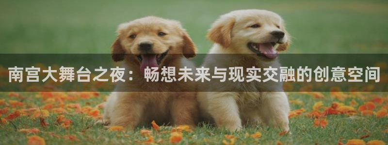 永盈welcome体育f开户：南宫大舞台之夜：畅想未来与现实交融的创意空间