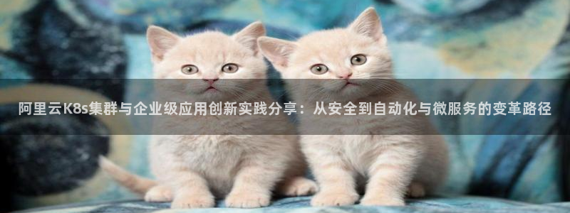 佛山市南海永盈welcome机电仪器有限公司：阿里云K8s集群与企业级应用创新实践分享：从安全到自动化与微服务的变革路径
