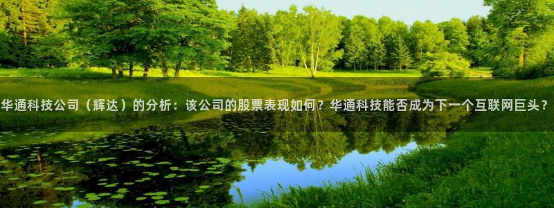 永盈welcome平台注册入口：华通科技公司（辉达）的分析：该公司的股票表现如何？华通科技能否成为下一个互联网巨头？