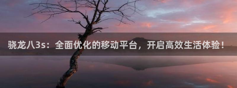 永盈welcome凯捷注册：骁龙八3s：全面优化的移动平台，开启高效生活体验！