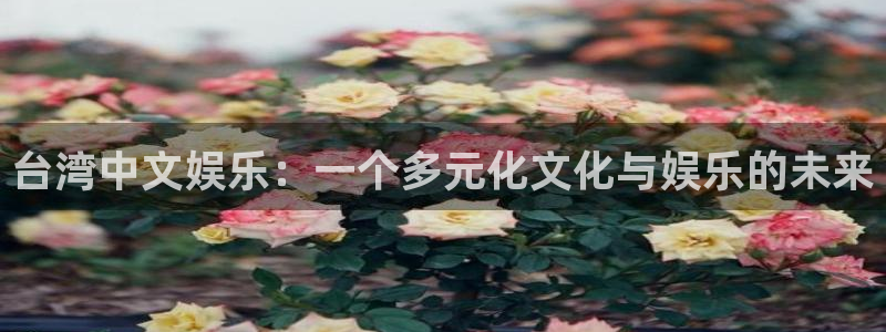 永盈welcome3登录：台湾中文娱乐：一个多元化文化与娱乐的未来