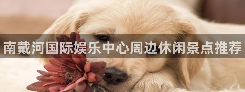 永盈welcome体育和杏耀是哪个公司的：南戴河国际娱乐中心周边休闲景点推荐