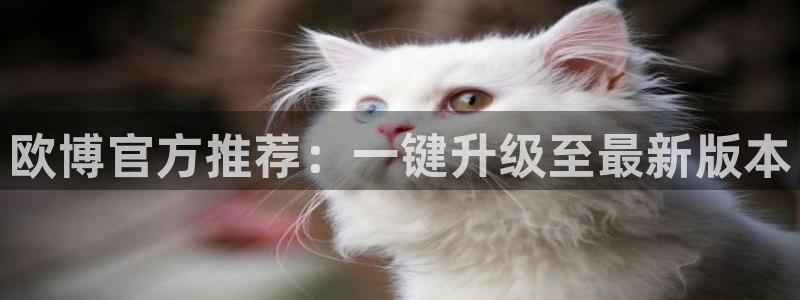 永盈welcome2平台注册：欧博官方推荐：一键升级至最新版本