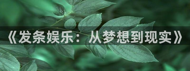 上海永盈welcome汽车电子有限公司：《发条娱乐：从梦想到现实》