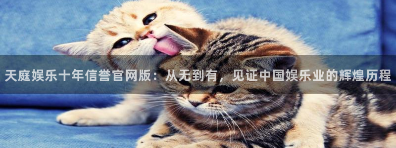 永盈welcome2体育登录入口：天庭娱乐十年信誉官网版：从无到有，见证中国娱乐业的辉煌历程