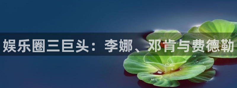 永盈welcome电子有限公司：娱乐圈三巨头：李娜、邓肯与费德勒
