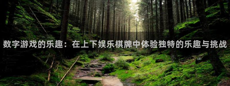 永盈welcome4平台注册：数字游戏的乐趣：在上下娱乐棋牌中体验独特的乐趣与挑战