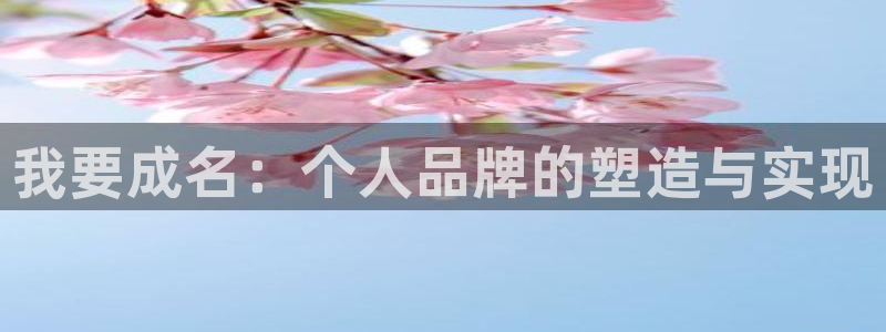 永盈welcome体育老板是谁：我要成名：个人品牌的塑造与实现