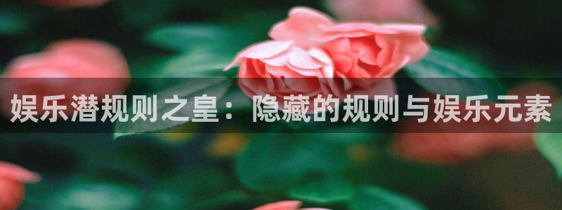 永盈welcome4官网：娱乐潜规则之皇：隐藏的规则与娱乐元素