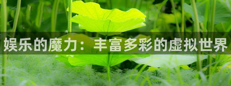 永盈welcome集团官网：娱乐的魔力：丰富多彩的虚拟世界
