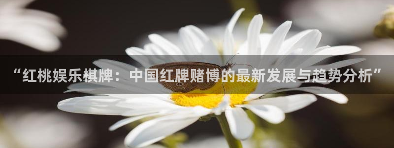 永盈welcome平台注册：“红桃娱乐棋牌：中国红牌赌博的最新发展与趋势分析”