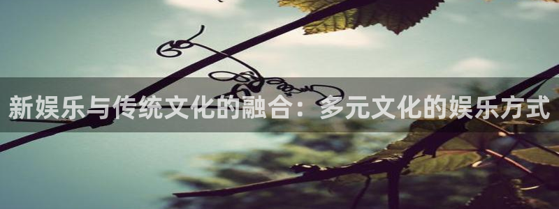 永盈welcome现在优惠多少：新娱乐与传统文化的融合：多元文化的娱乐方式