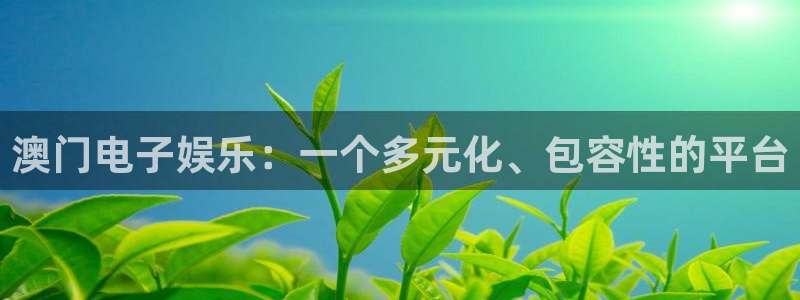www.永盈welcome体育.com：澳门电子娱乐：一个多元化、包容性的平台