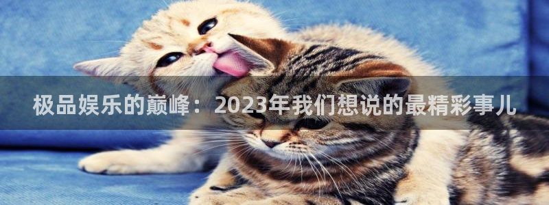 永盈welcome2体育登录入口：极品娱乐的巅峰：2023年我们想说的最精彩事儿