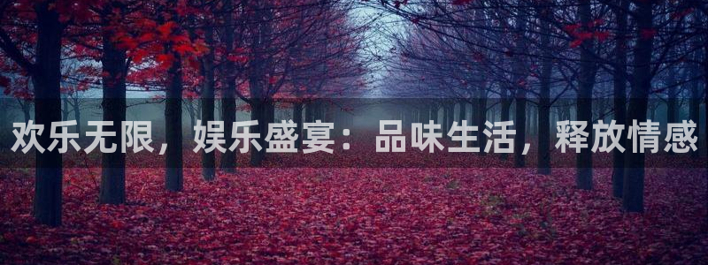 永盈welcome体育注册平台：欢乐无限，娱乐盛宴：品味生活，释放情感