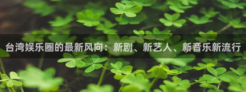 永盈welcome代理注册官网入口：台湾娱乐圈的最新风向：新剧、新艺人、新音乐新流行