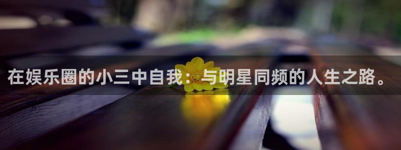永盈welcome体育游戏：在娱乐圈的小三中自我：与明星同频的人生之路。