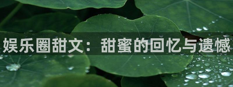 永盈welcome代理：娱乐圈甜文：甜蜜的回忆与遗憾