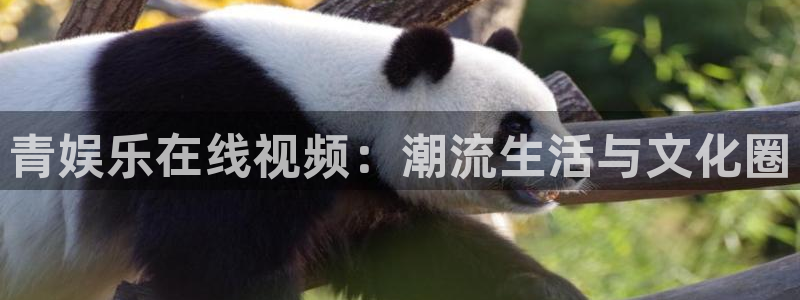 永盈welcome体育app下载：青娱乐在线视频：潮流生活与文化圈