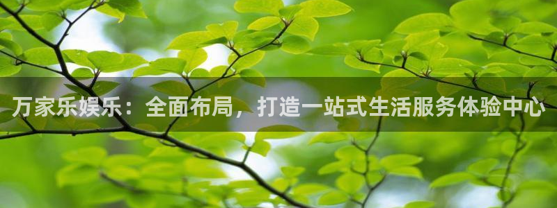永盈welcome主管：万家乐娱乐：全面布局，打造一站式生活服务体验中心