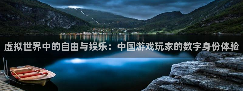 永盈welcome零能源集团：虚拟世界中的自由与娱乐：中国游戏玩家的数字身份体验