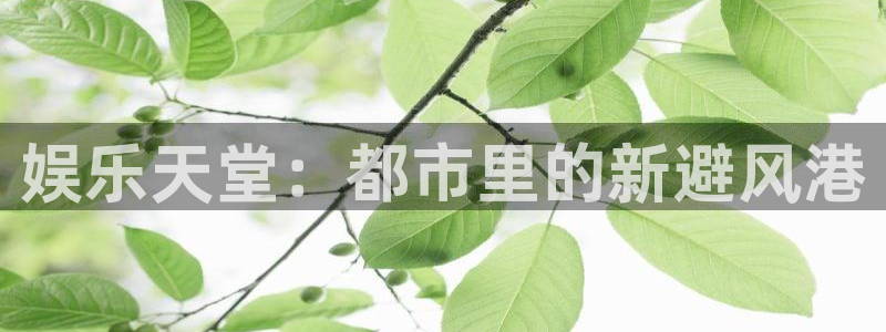 永盈welcome2登录地址：娱乐天堂：都市里的新避风港