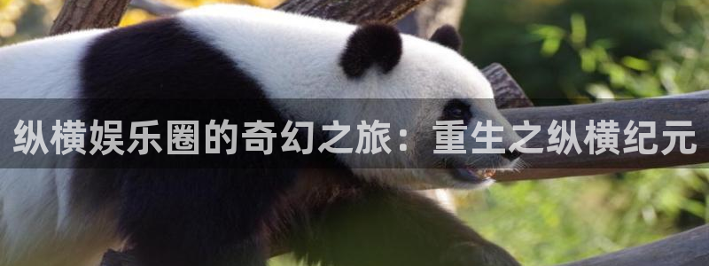 永盈welcome官网入口：纵横娱乐圈的奇幻之旅：重生之纵横纪元