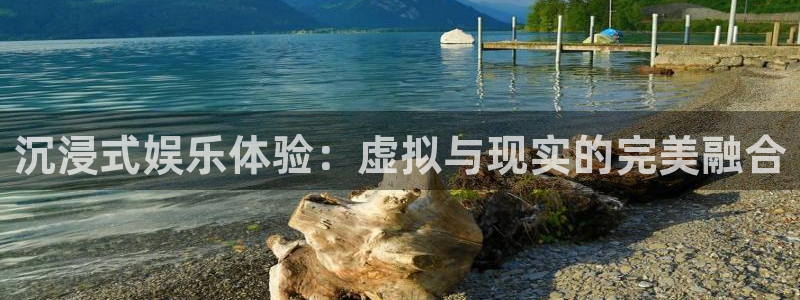 永盈welcomef平台注册：沉浸式娱乐体验：虚拟与现实的完美融合