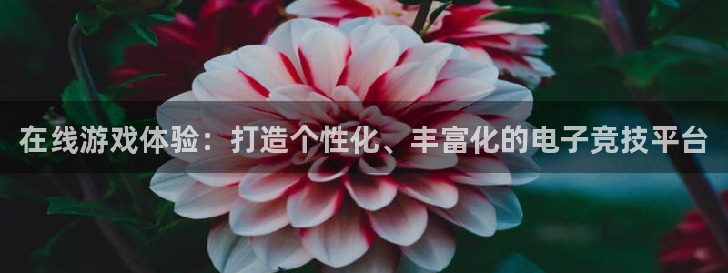 永盈welcome登陆：在线游戏体验：打造个性化、丰富化的电子竞技平台