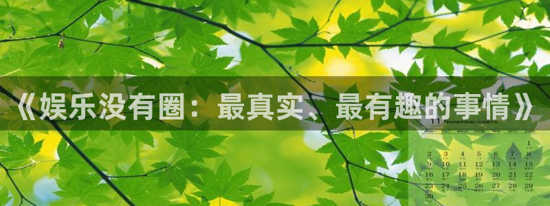 永盈welcome注册：《娱乐没有圈：最真实、最有趣的事情》