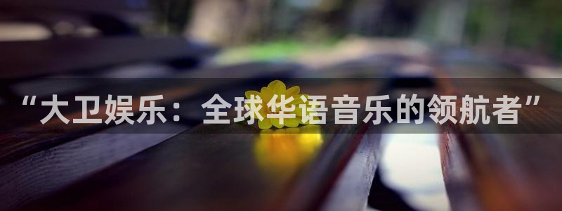 永盈welcome体育代理：“大卫娱乐：全球华语音乐的领航者”