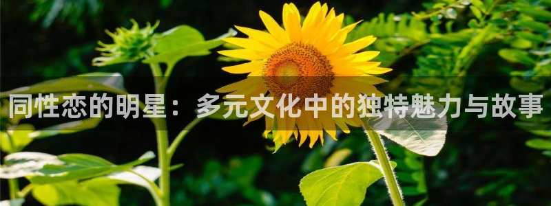 永盈welcome平台开户链接：同性恋的明星：多元文化中的独特魅力与故事