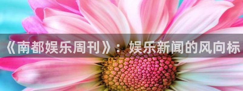 永盈welcome主管：《南都娱乐周刊》：娱乐新闻的风向标