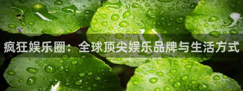 永盈welcome2平台注册：疯狂娱乐圈：全球顶尖娱乐品牌与生活方式