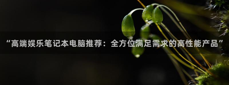 永盈welcome2登录：“高端娱乐笔记本电脑推荐：全方位满足需求的高性能产品”