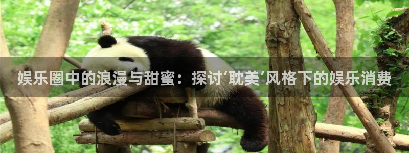 上海永盈welcome汽车电子有限公司：娱乐圈中的浪漫与甜蜜：探讨‘耽美’风格下的娱乐消费